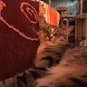 Meet your Posher, Meg